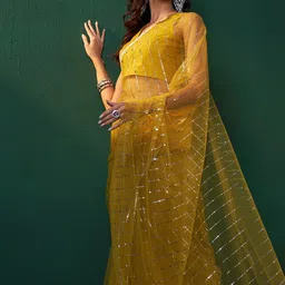 Sangria Embellished Net Sarees-picture-23