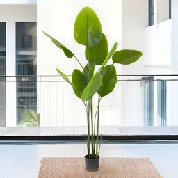 The Better Home Green Artificial Flowers and Plants-33