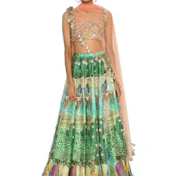 Payal Singhal Embellished Mirror Work Ready to Wear Lehenga & Blouse With Dupatta-picture-38