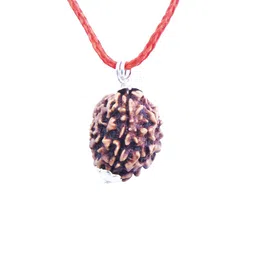 GenZcomplex Unisex Silver-Plated Brown Circular Shaped Saat Mukhi Rudraksha Pendant-34