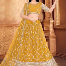 F Plus Fashion Net Semi-Stitched Lehenga Choli-picture-19