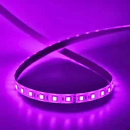 120 LEDs 5 m Purple Steady Strip Rice Lights-picture-45