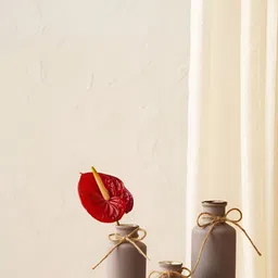 PUREZENTO 3-Pcs Beige & Brown Ceramic Bottle Vases-21