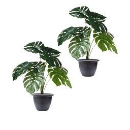 Go Hooked Pack of 2 Artificial Monstera Plant with complimentary Nursery Pot-12