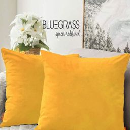 Blue Grass Yellow 2 Pieces Velvet Square Cushion Covers-image-77