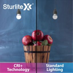 sturlite 10 W Basic Standard B22 D LED Bulb image 4