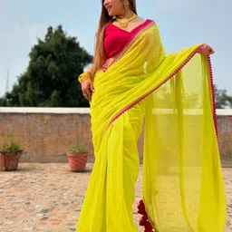 Sidhidata Phulkari Pure Georgette Saree-picture-25