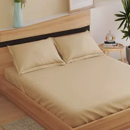 Home Centre Beige 250 TC Fitted Cotton King Bedsheet with Pillow Covers-image-32