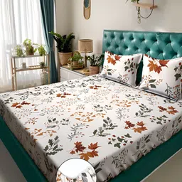 KLOTTHE Off-White Floral 300 TC Fitted Super King Double Bedsheet with 2 Pillow covers-image-51