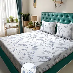 KLOTTHE Off-White Floral Printed Fitted 300TC Super King Double Bedsheet With Pillow Cover-image-50