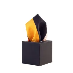 ALZ Colourblocked Microfiber Pocket Squares-image-98