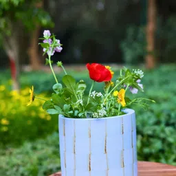 WEAVING HOMES  Blue Checked Ceramic Planters-30