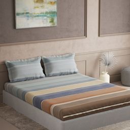 DDecor Blue & Brown Striped 144 TC Queen Bedsheet with 2 Pillow Covers-image-101