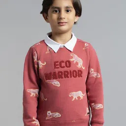 Ed-a-Mamma Boys Printed Sweatshirt-image-25