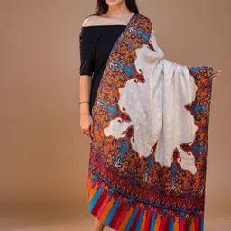 SWI Stylish Women Ethnic Motifs Embroidered Shawl-image-44
