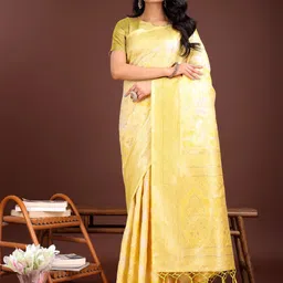 Astita Woven Design Zari Work Saree-37