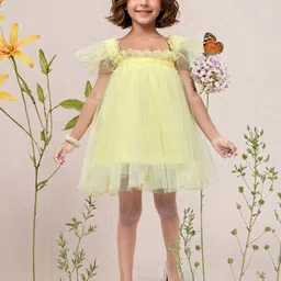 Toonyport Girls Floral Net Fit and Flare Dress-picture-12
