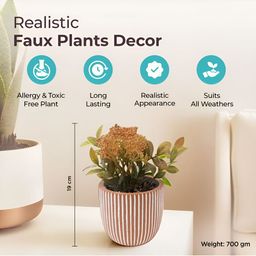 The Better Home Green 1 Pieces Core With Pot image 3