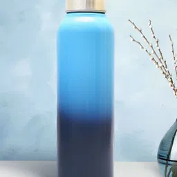 Allo Light and Dark Blue Stainless Steel Leakproof Steel Cap Water Bottle 1000 ml-image-96