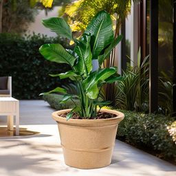 Kuber Industries 2 Pcs Brown Textured Roto Mould Victoria Flower Planters-image-18