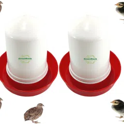 Chick & Quail Food Feeder & Drinker Combo 500 grams capacity (Pack Of 2) Common Bird Feeder-image-64