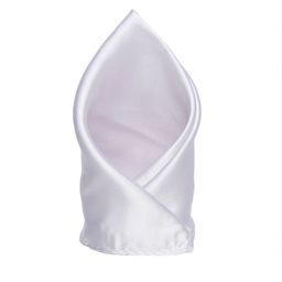Alvaro Castagnino Men Grey Silk Pocket Square-image-42
