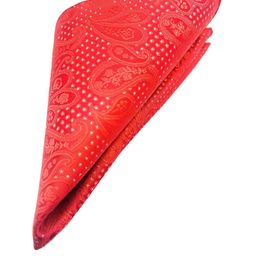 VOICI Men Printed Microfiber Pocket Squares-image-88