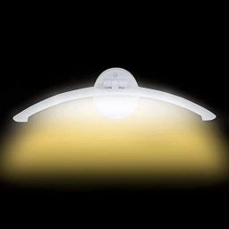 Picture Light Wall Lamp With Bulb-image-93