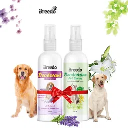breedo Dog (Combo of 2) Dog Need Deodorant Perfume Spray + Deodorizing Perfume Spray Natural Cologne-picture-12