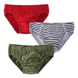 Honeyhap Boys Pack Of 3 Basic Printed Briefs 18036801-image-9