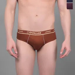 Dollar Pack of 5 Assorted basic briefs-14
