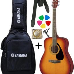 F - 310 TBS WITH COVER , BELT , STRING SET , CAPO , PICK Acoustic Guitar Rosewood Rosewood-12