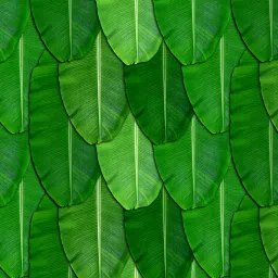 248 cm (8 ft) Polyester Semi Transparent Long Door Curtain Single Curtain-19