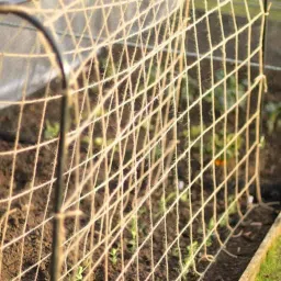 wne jaliwale Jute Plant Climbing net & Jute Plant Trellis Netting Creeper Net - 6feet x 6feet Hiking Net image 2