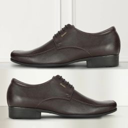 Oxford For Men-image-66