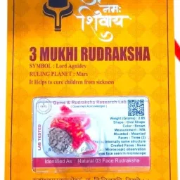 Premium 3 Mukhi Nepali Rudraksha three face With tab tested Sterling Silver Wood Pendant-image-28