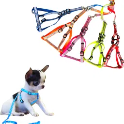 Puppies Reflective Nylon combo body harness and belt for walking training 12mm Dog Harness & Leash-image-7