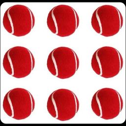 New-JS _382Pack of 6 Tennis Ball-image-90