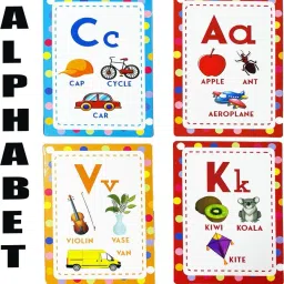 domios Animals, Fruits & Vegetables, Alphabets, Numbers Flash Cards ( Set of 4) image 5