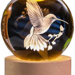 Hummingbird 3D Crystal Ball Night Light with USB Wooden Base Table Lamp-15
