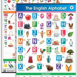 English And Hindi Alphabet And Numbers Charts For Kids (English Alphabets And Hindi Varnamala - Set Of 2 Charts) | Perfect For Homeschooling, Kindergarten And Nursery Children | (39.25 X 27.25 Inch)-20