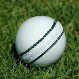 4 Stretching Special Leather Hard Synthetic Cricket Ball Cricket Cricket Leather Ball-image-15