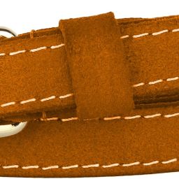 Women Casual, Formal, Evening, Party Tan Genuine Leather Belt-image-49