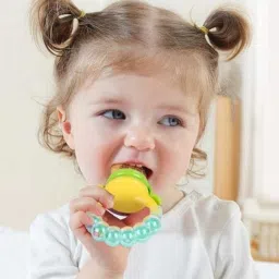 raosons Rattle Nibbler & Grape Teether Combo | BPA Free | for 3+ Months Baby (2 Pcs) Teether and Feeder image 3