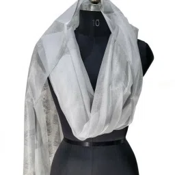 Net Woven Silver Women Dupatta-picture-22