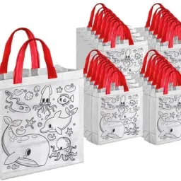 Printed Party Bag-5