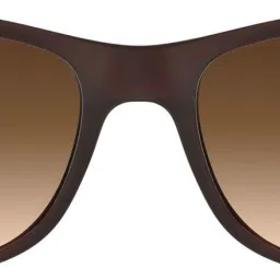 Wayfarer Sunglasses (55)-picture-24