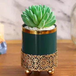 fourwalls Polyurethane Alpa Green Succculent In Ceramic Pot With Metal Stand Artificial Plant-picture-27