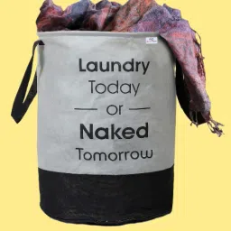 45 L Grey Laundry Bag-image-87