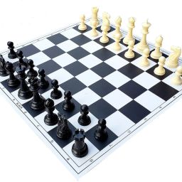 Foldable Chess Mat 17 inch With Pawns Strategy & War Board Game-image-99